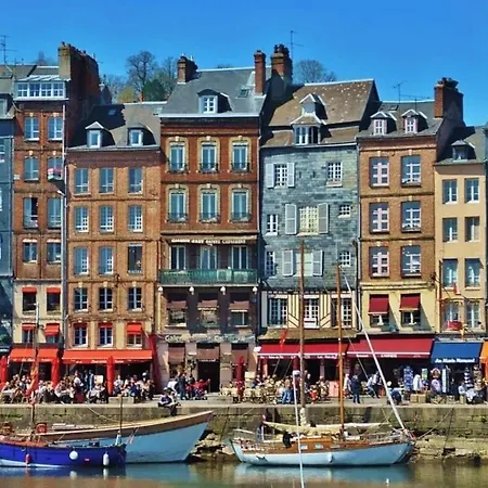 La Maison Des Arts 3*